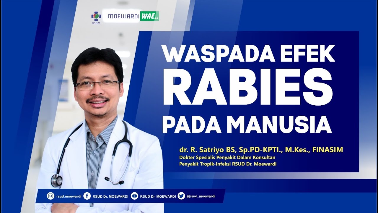 Waspada Efek Rabies Pada Manusia | Moewardi Wae #221