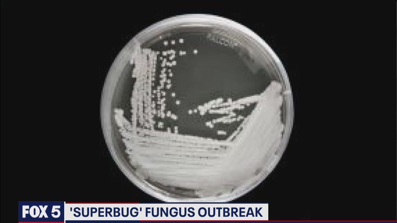CDC: Evidence of untreatable 'superbug' found at DC nursing home | FOX 5 DC