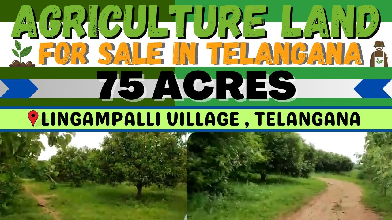 BACHANNAPET : 75 ACRES MANGO FARMLAND FOR SALE | BHUVANAGIRI | SIDDIPET | TELANGANA | Landsinindia