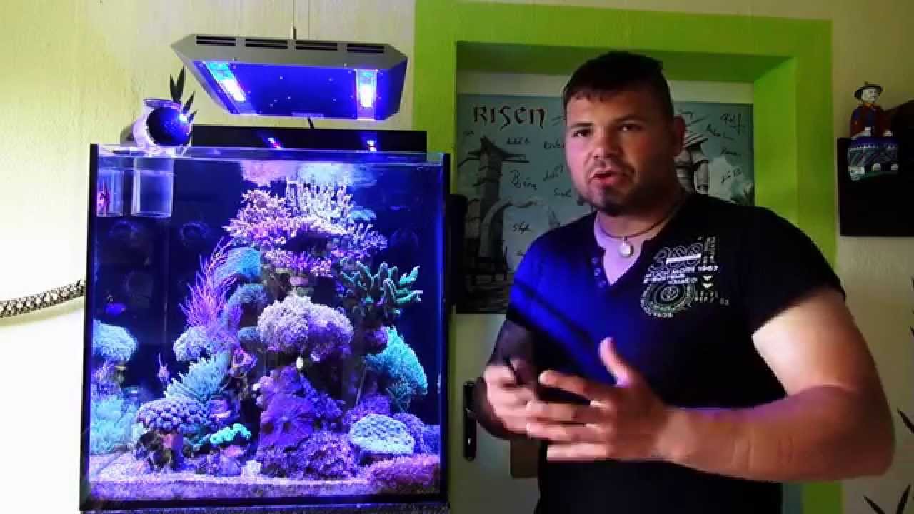 Aqua Medic Cubicus Teil 8 - Spurenelemente