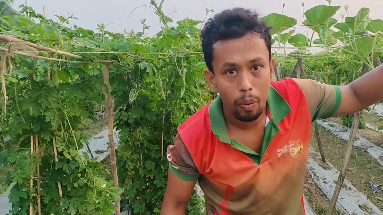 গ্রামীণ করল্লা বাগান
