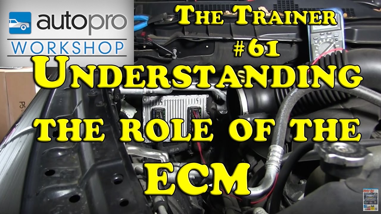The Trainer #61 - DTC Diagnostics Pt1:  How The ECM Thinks