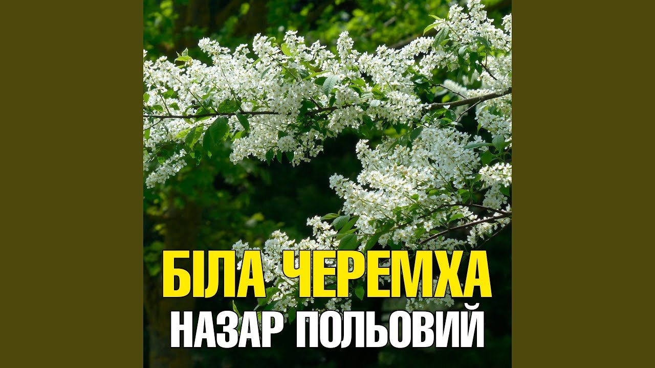 Фартушок