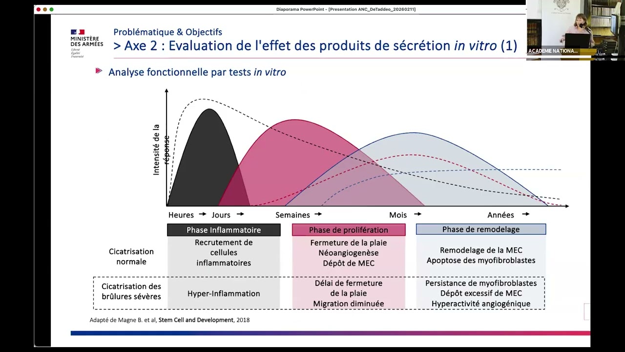 07 Les vésicules extracellulaires des Cellules Souches Mésenchymateuses
