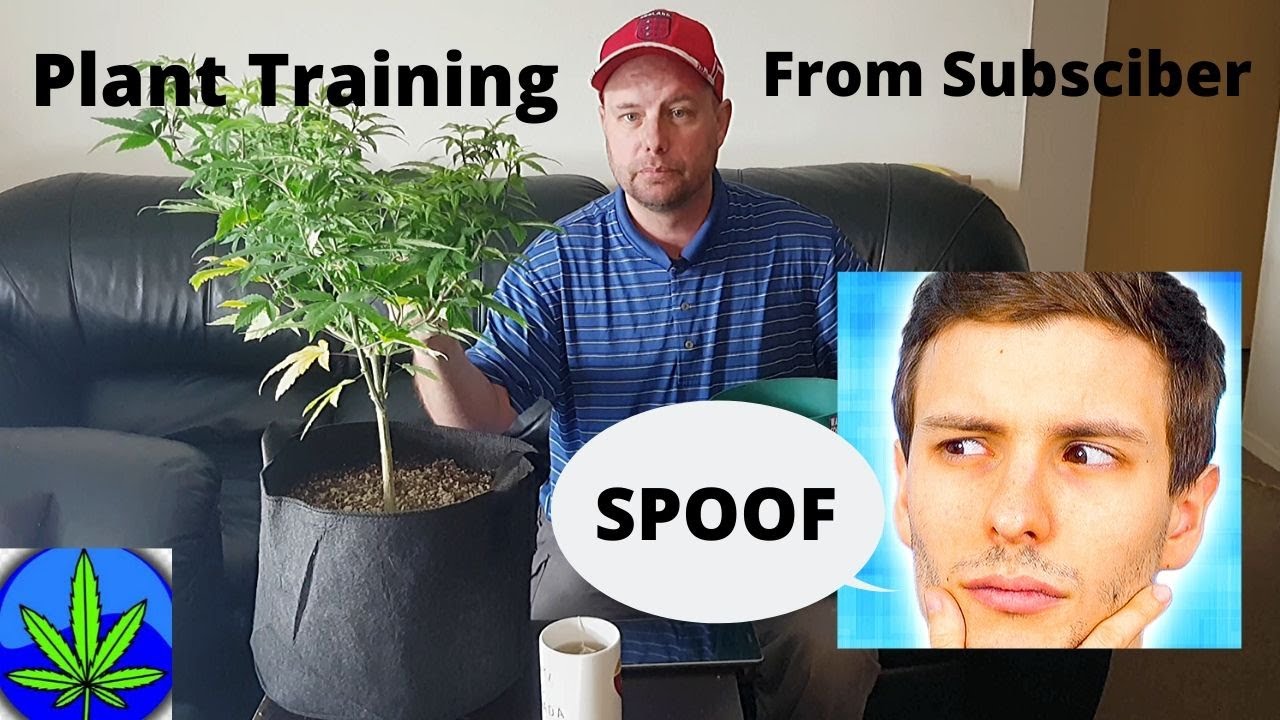 Bizarre Micro Grow Plant Training suggested comment from subscriber Share this video