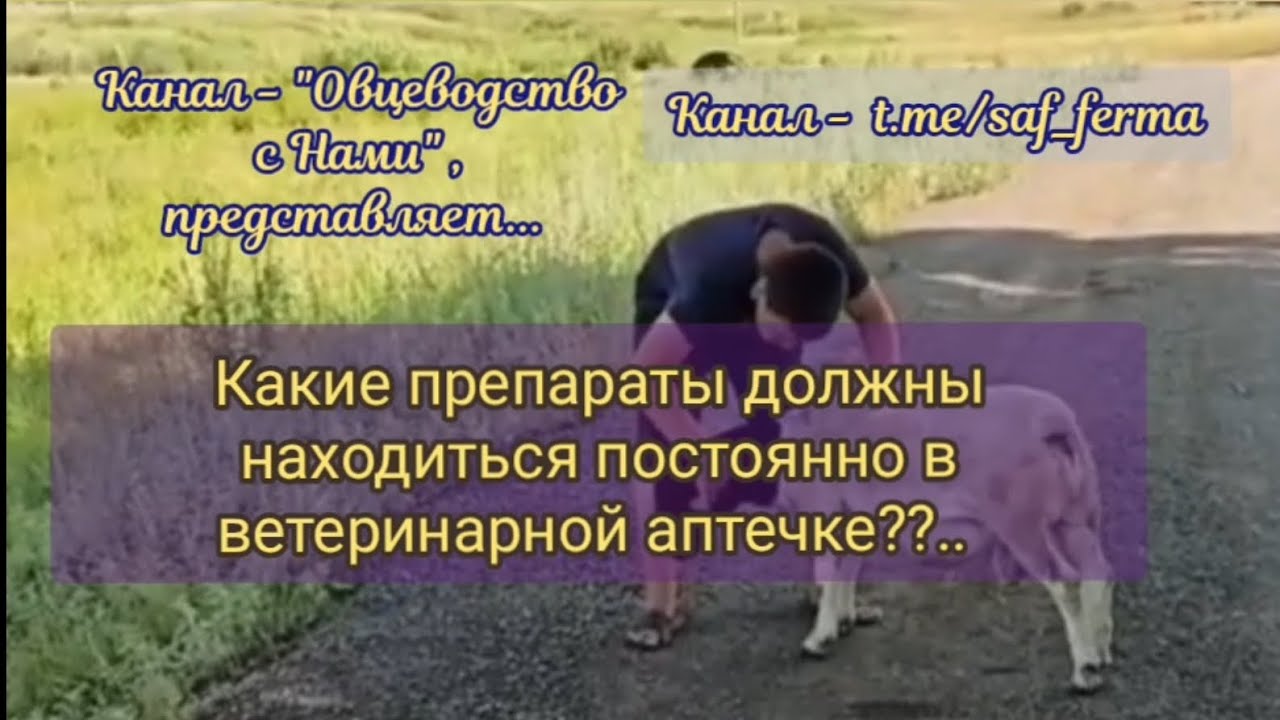 АПТЕЧКА ОВЦЕВОДА!!! КАКИЕ ПРЕПАРАТЫ ЖЕЛАТЕЛЬНО ДЕРЖАТЬ В ВЕТЕРИНАРНОЙ АПТЕЧКЕ ПОСТОЯННО!!! 