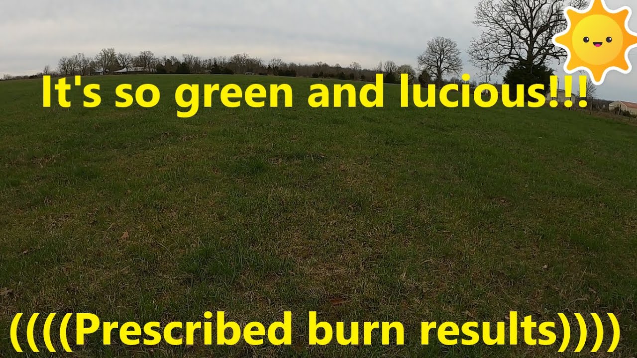 Starting a farm vlog #32 Pasture Burn Results after prescribed burn