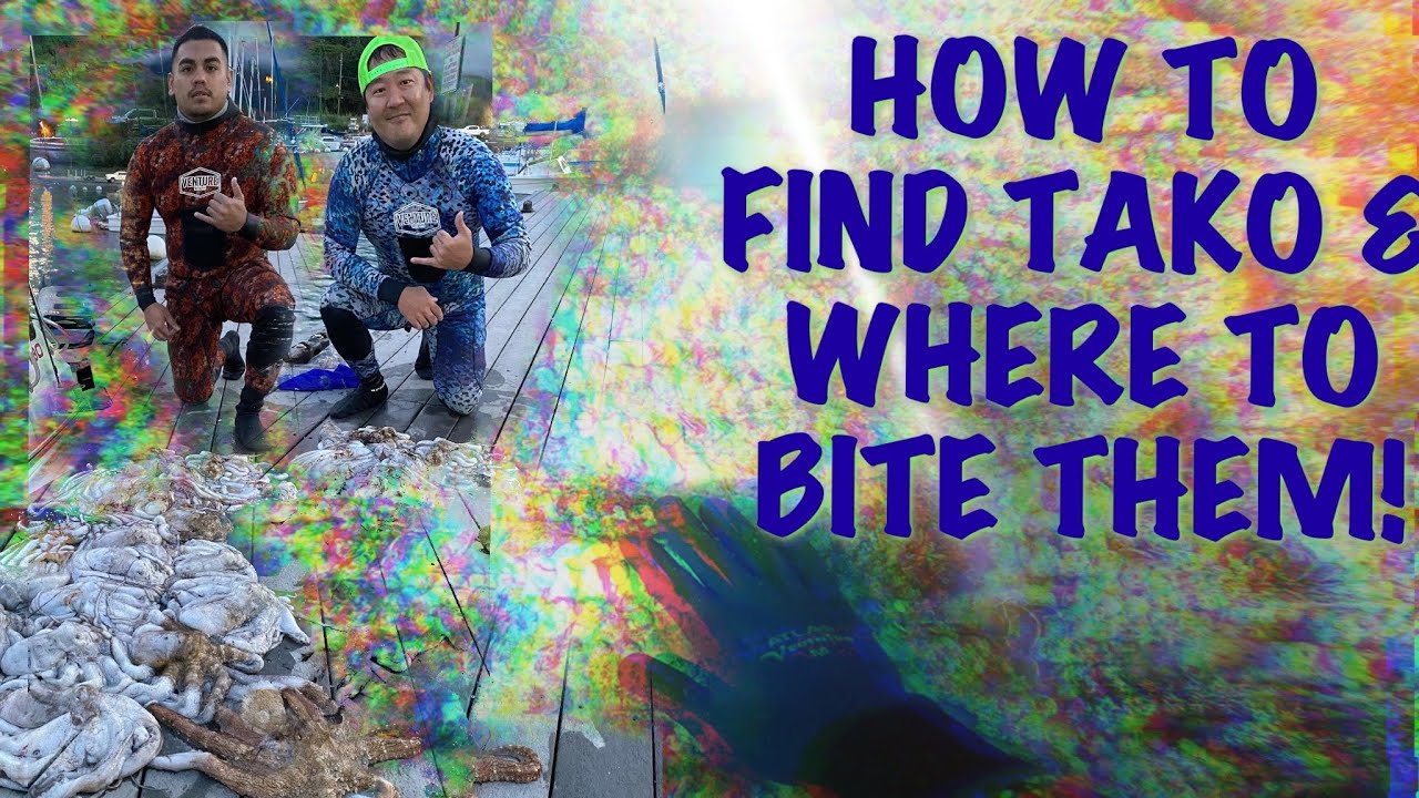 How To Find Tako & Where To Bite Them! Skeeprong Sample - Tako Season Dive In Hawaii