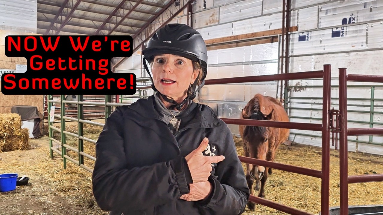 Дрессировка с помощью кликера меняет всё | Лошадям это нравится!