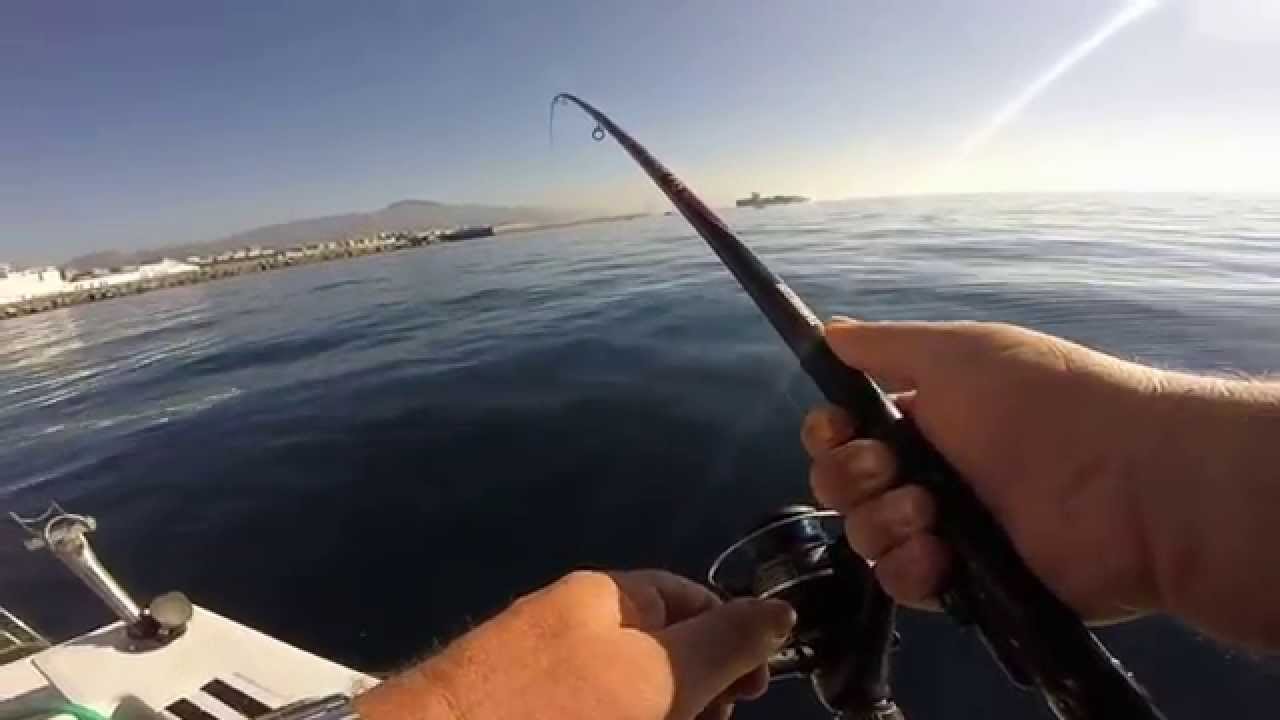Genova palamite a drifting