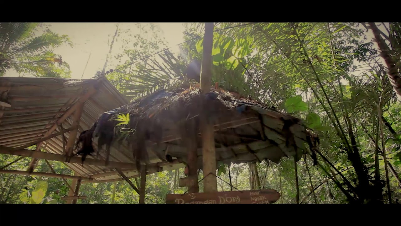 DOLAN KULON PROGO [TREASURE]