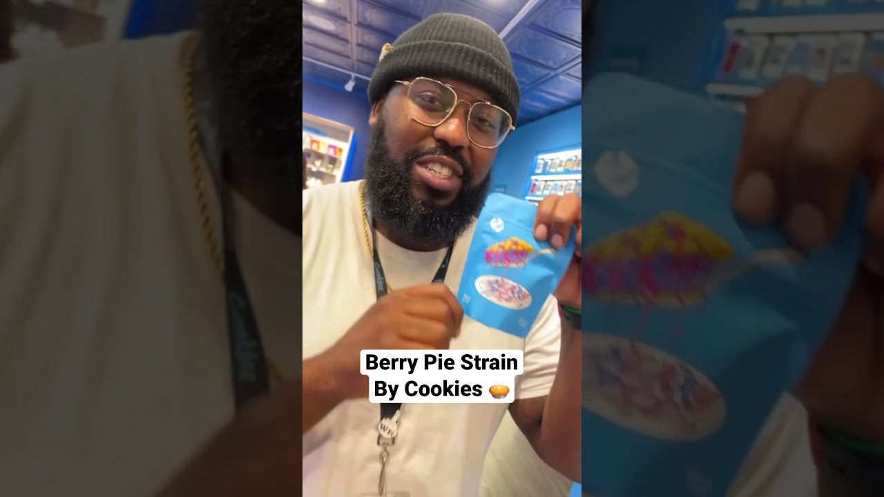 Berry Pie Strain Review Ft. Cookies Flamingo Dispensary In Las Vegas #shorts #strain