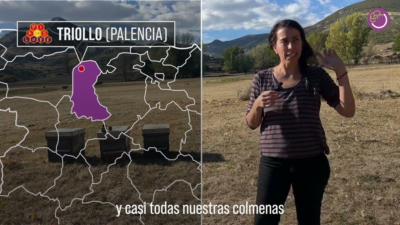 Bosque Modelo Palencia - APIS IN LOVE - Buena práctica en apicultura