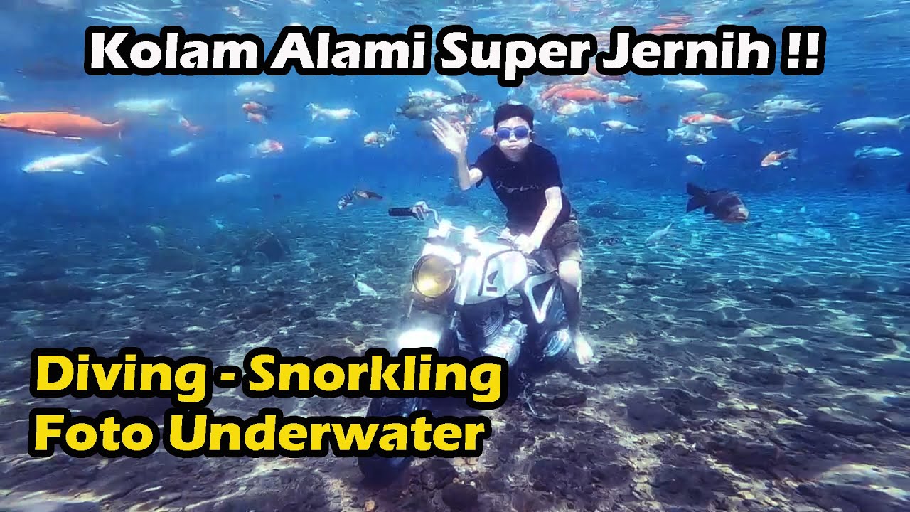 Umbul Ponggok Klaten ‼️ Berenang dan Foto Bareng Ikan