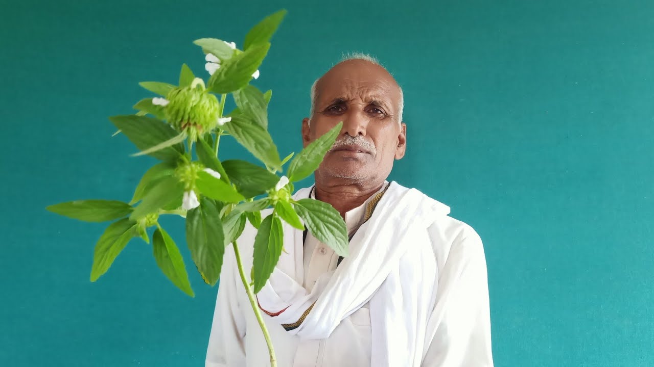 भूत प्रेत जादू टोना टोटका से बचने के लिए टोटका और अकस्मात घटनाओं से बचने के लिए यह टोटका चमत्कारी है