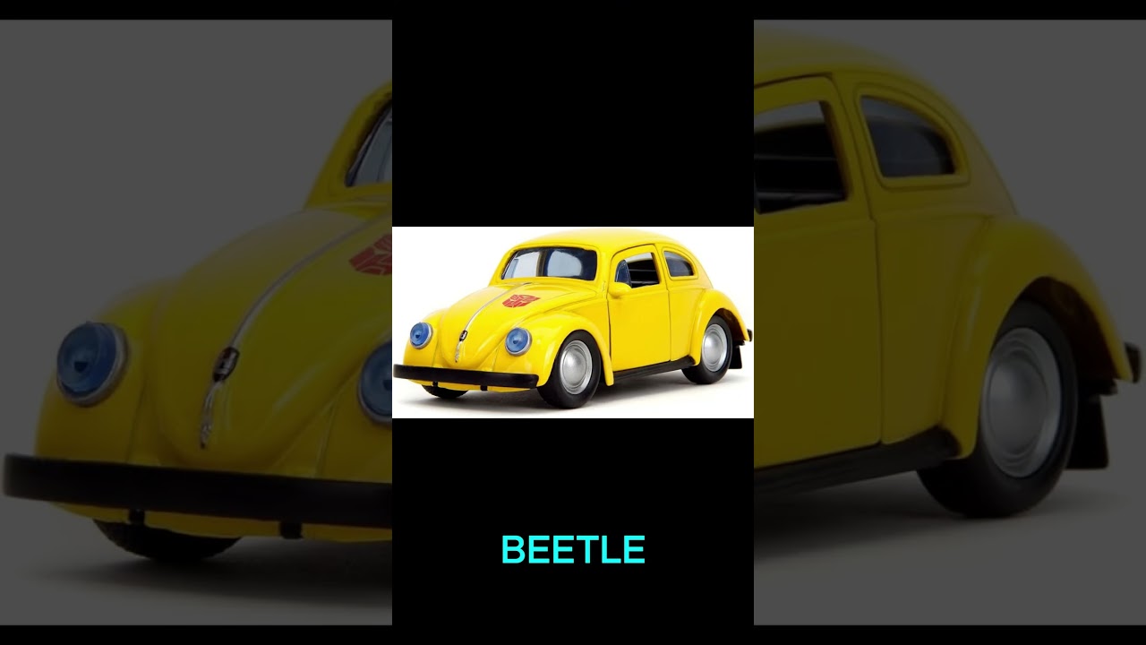 Fun fact about Bumblebee