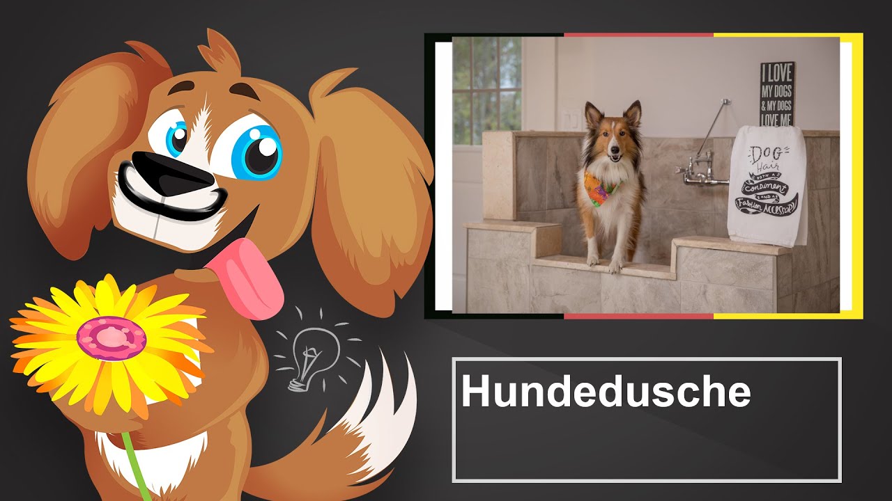 🐶 Welche Hundedusche f&uuml;r meinen Hund? &ndash; Empfehlungen und Kauftipps