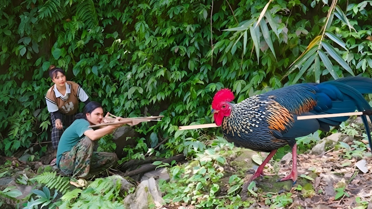 Hunting wild chickens - Growing vegetables and taking care of a thriving herd of pigs