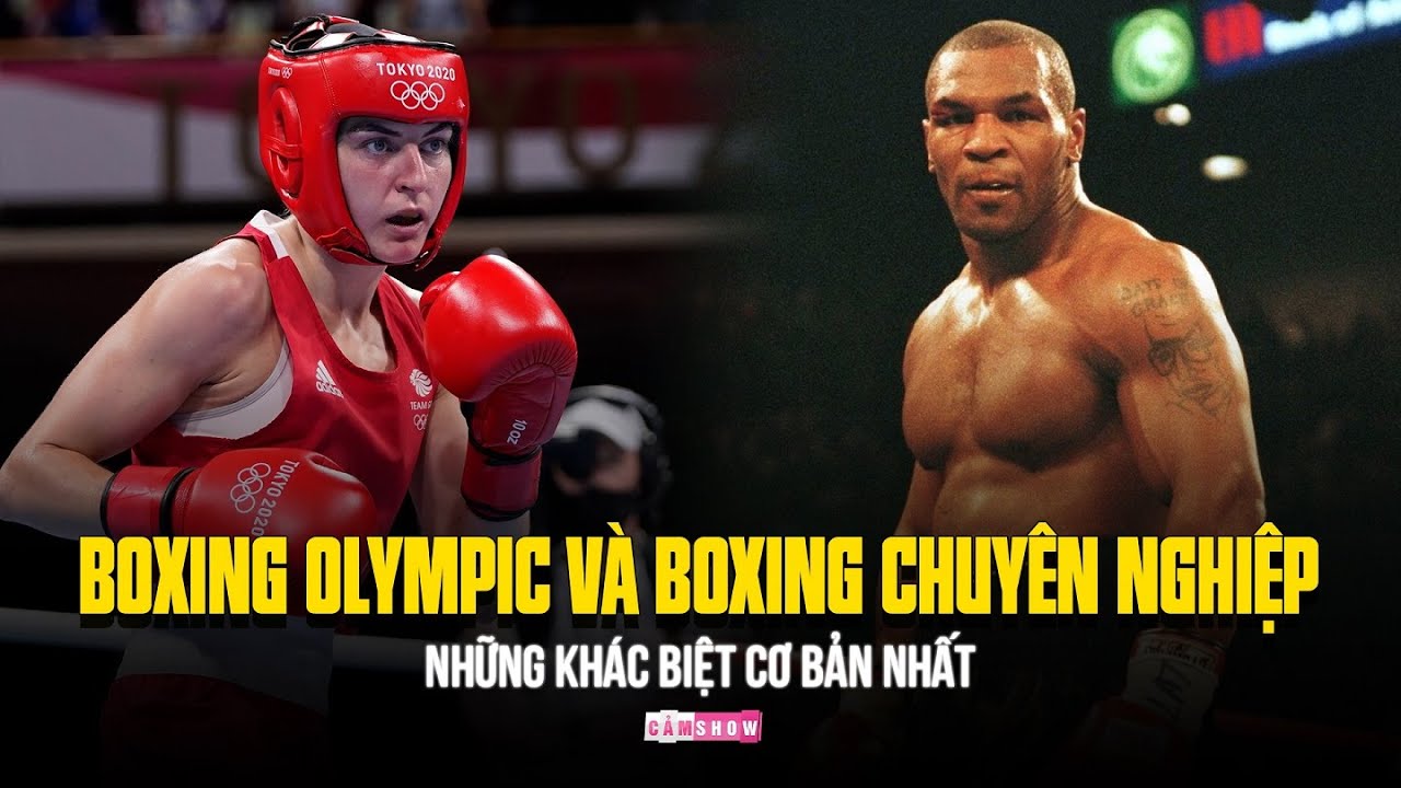 CÓ THỂ BẠN CHƯA BIẾT | Sự khác biệt giữa BOXING TẠI OLYMPIC và BOXING CHUYÊN NGHIỆP