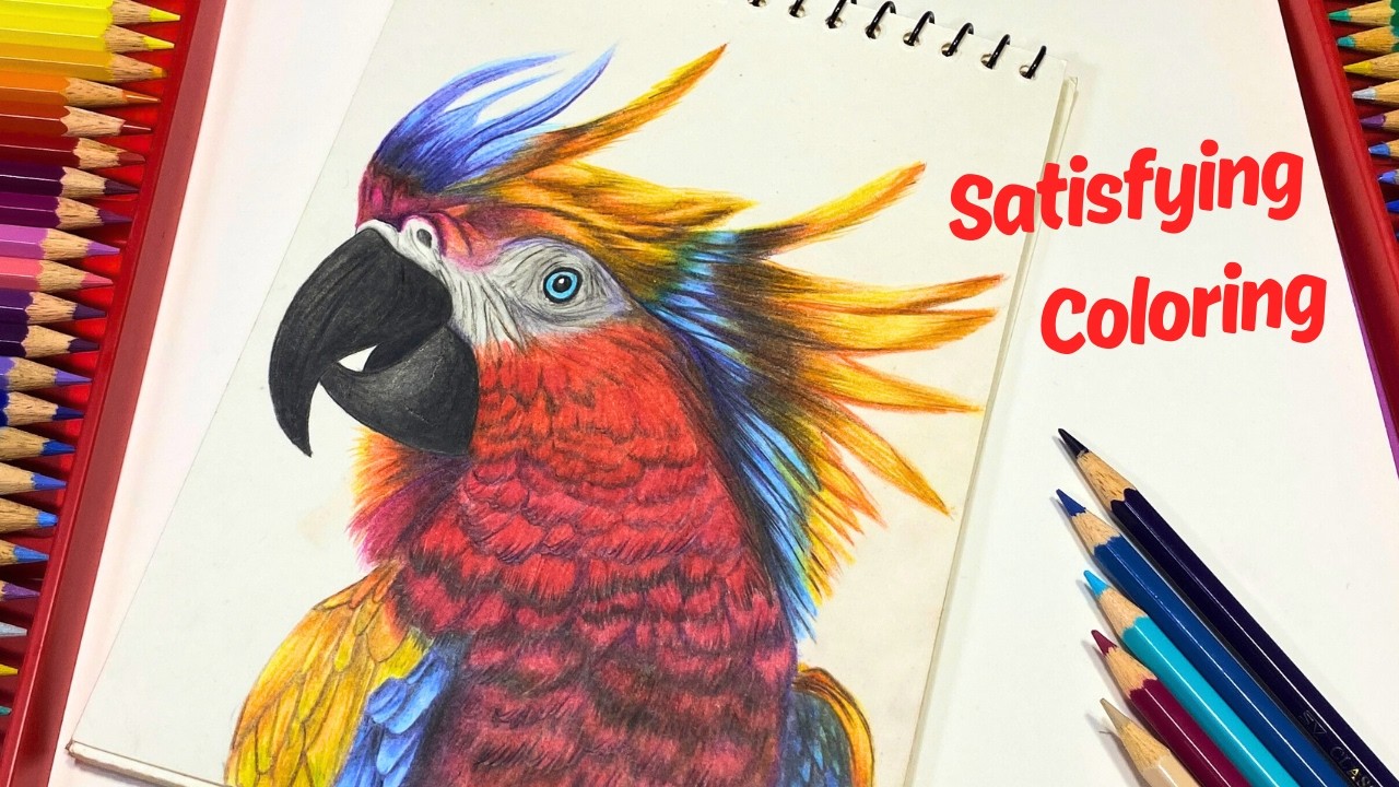 Colorful Parrot Drawing with Colored Pencils | Relaxing and Satisfying Art