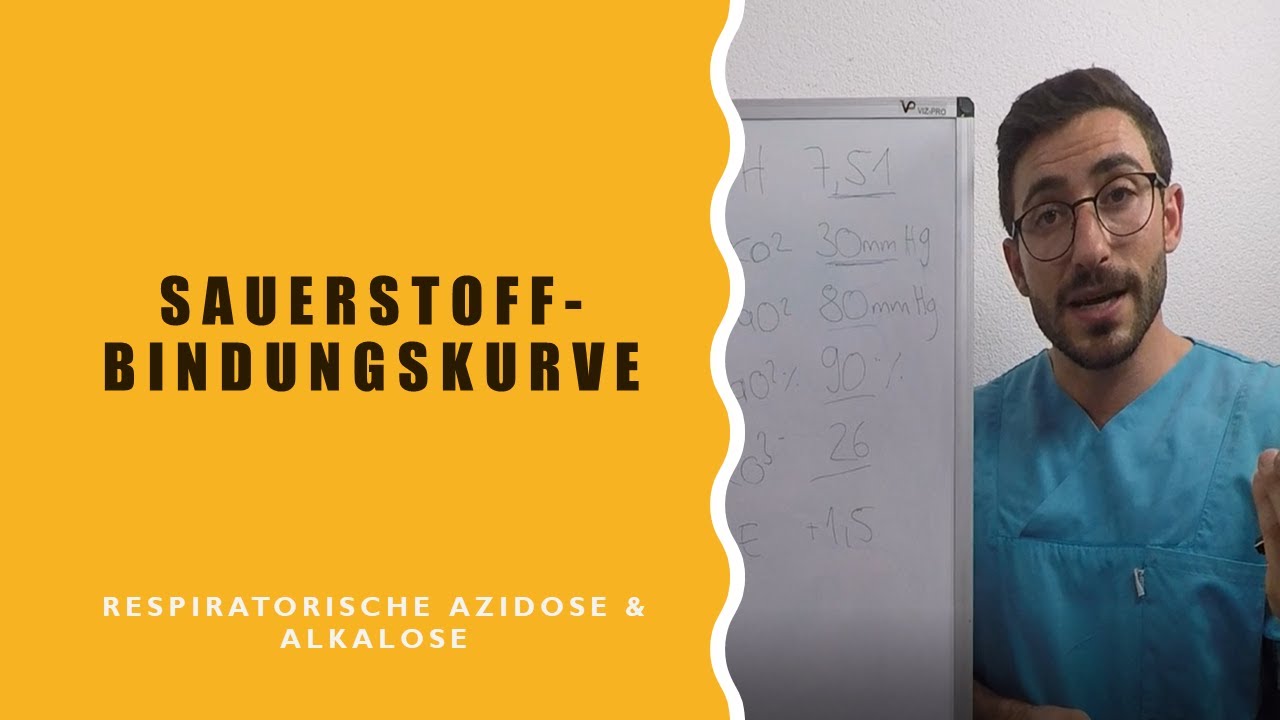 Sauerstoffbindungskurve   Respiratorische Azidose und Alkalose