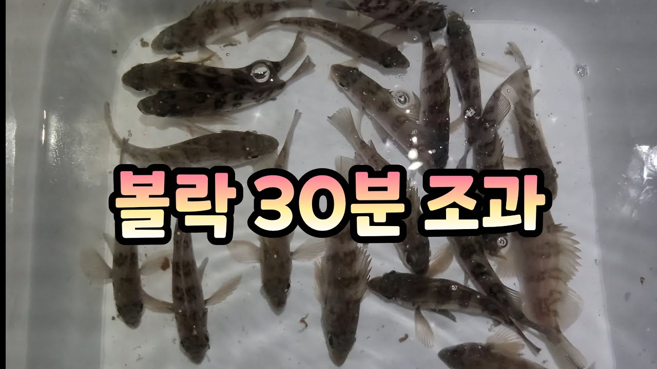 바람 피해서 우연히 찾아간 방파제 (주차하고 도보 1분)