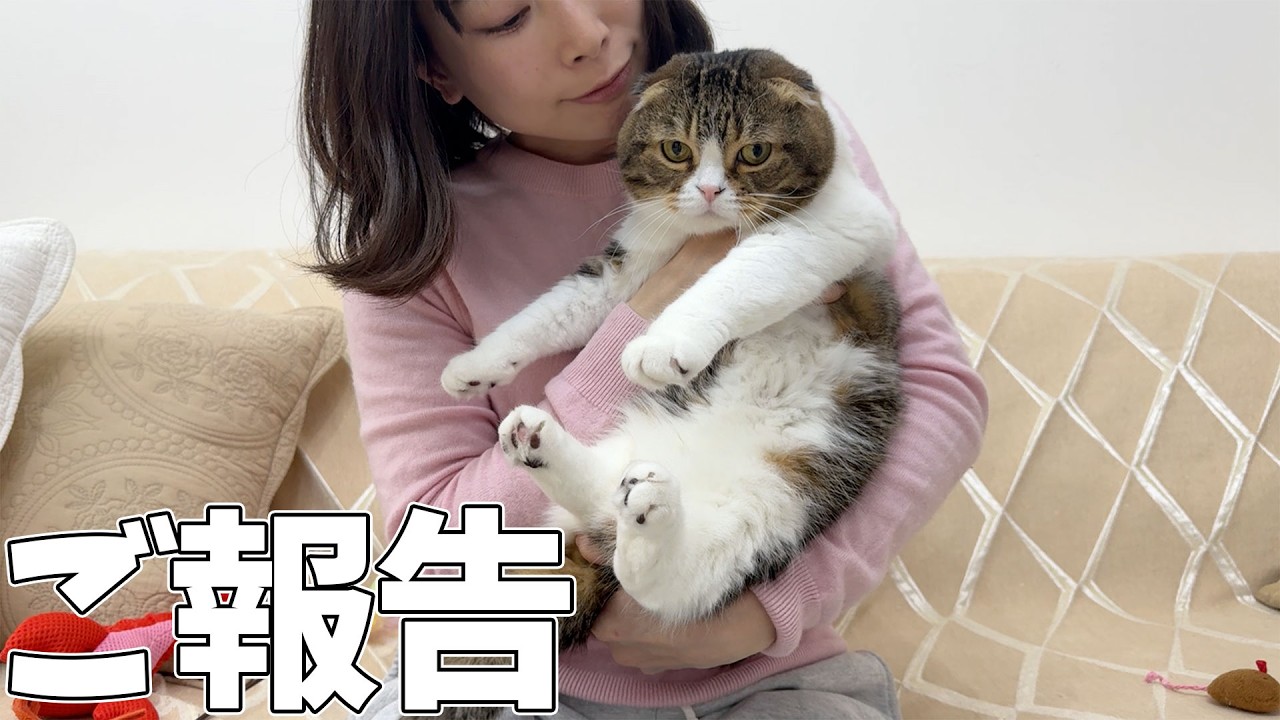 ご報告があります！