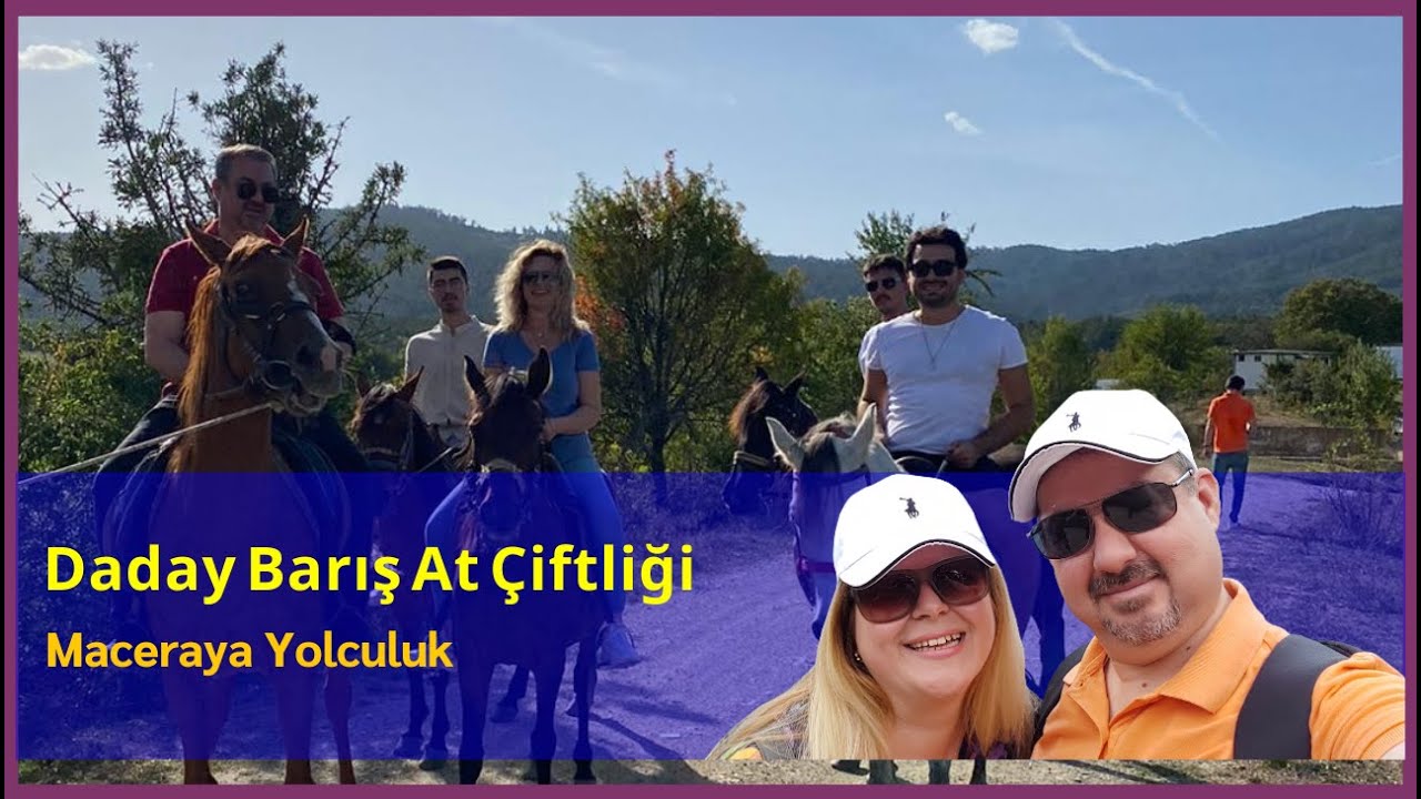 Daday Barış At Çiftliği