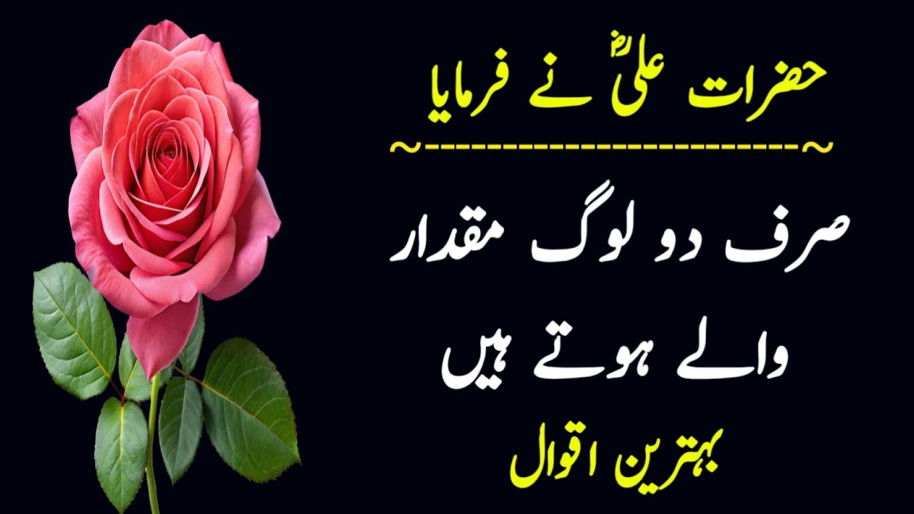 Sirf Do Log Mukadar Waly Hotay Hain || hazrat ali quotes in urdu || aqwal e zareen || Islamic videos