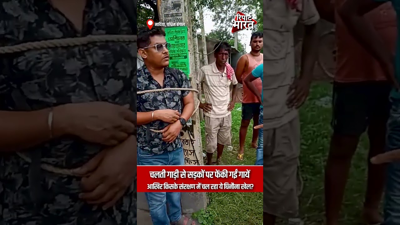 पश्चिम बंगाल - चलती गाड़ी से सड़कों पर फें#की गईं गायें, आखिर किसके संरक्षण में चल रहा ये घिनौना खेल