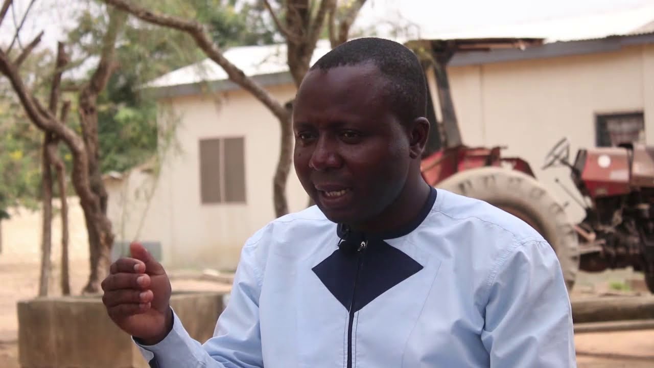 Does driver Kwajo Oppong deserve a one year Prison sentence?