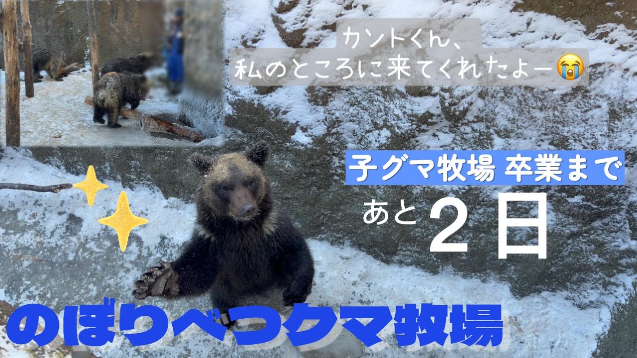 【2025/12⑤】お昼ごはんの様子（神回）