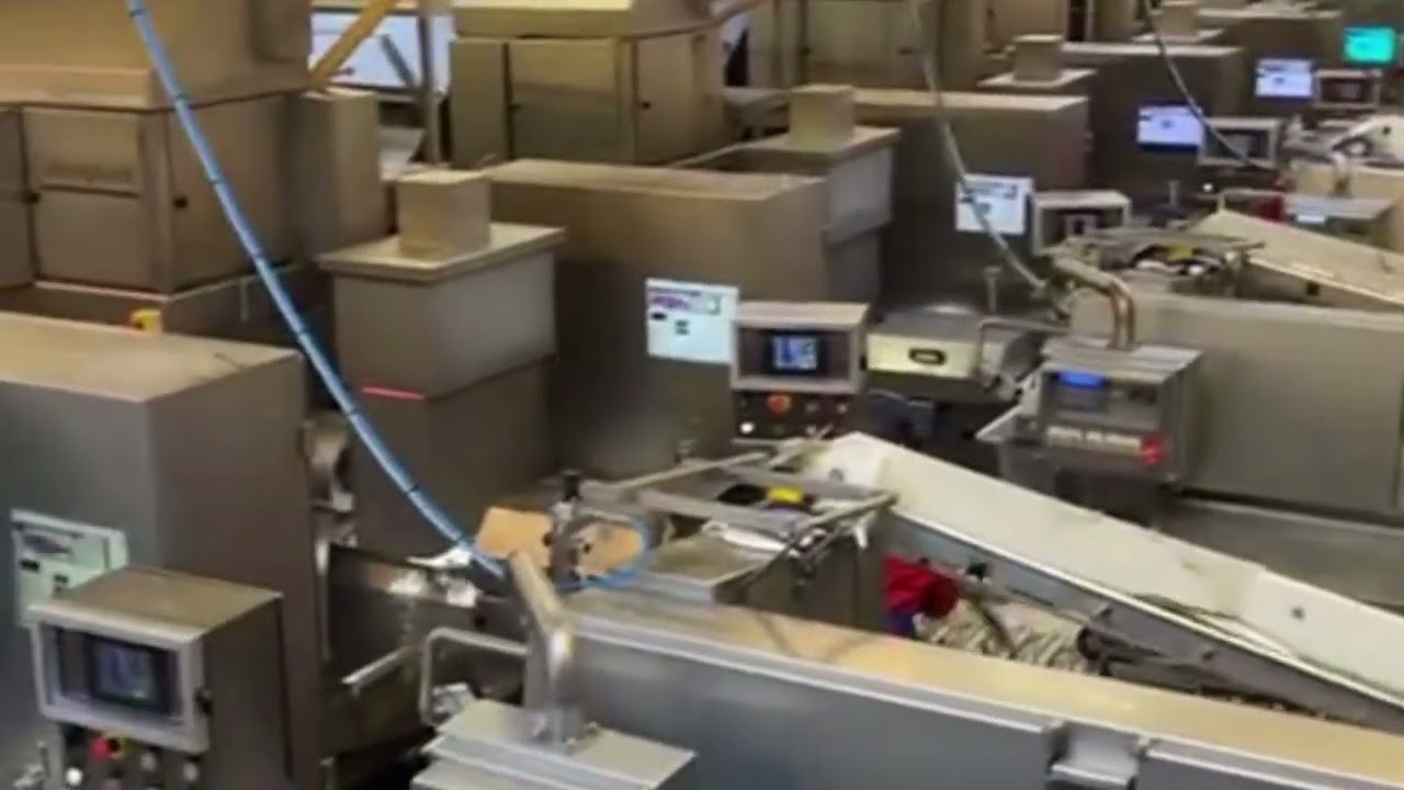 Verwerking (maatjes)haring naar kaakmachines voor Hollandse Nieuwe