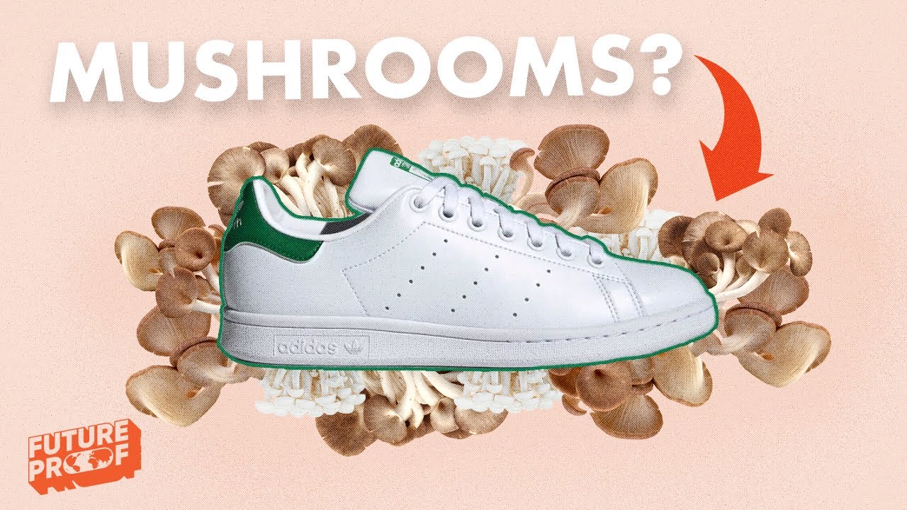 The TRUTH About The NEW Stan Smith