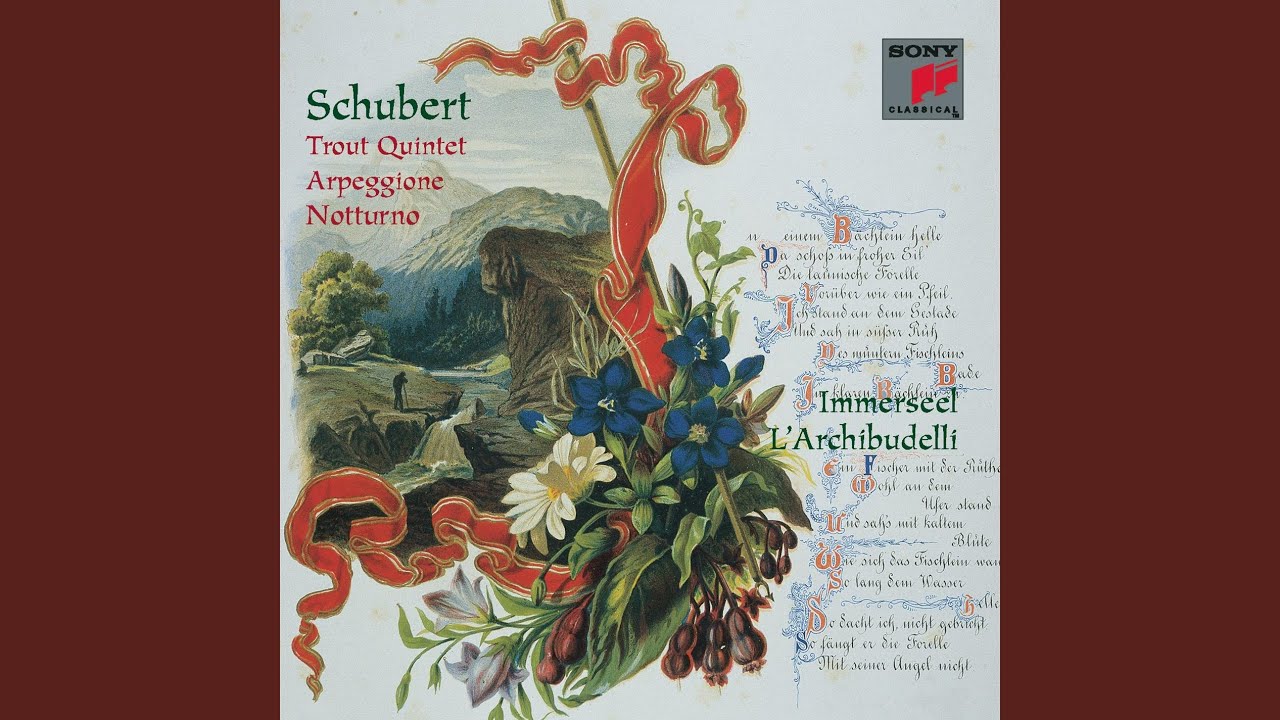 Arpeggione Sonata in A Minor, D. 821: I. Allegro moderato