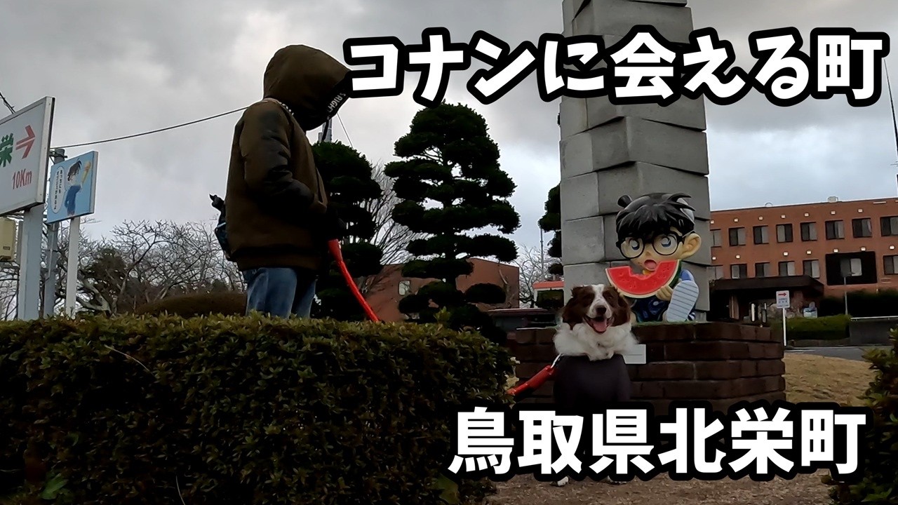 コナンに会える町に行ってきました！　鳥取県北栄町　お正月旅行②　モカとおでかけ Vol.43#ボーダーコリー#bordercollie #モカとおでかけ#コナン通り#名探偵コナンに会える町