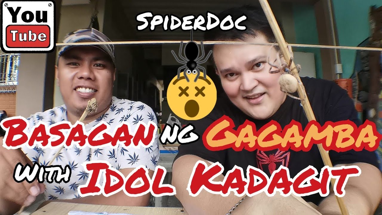 CEBU vs GENSAN. BASAGAN ng GAGAMBA Para sa SPIDER TOURNAMENT ft. idol Kadagit. Spider Fight.
