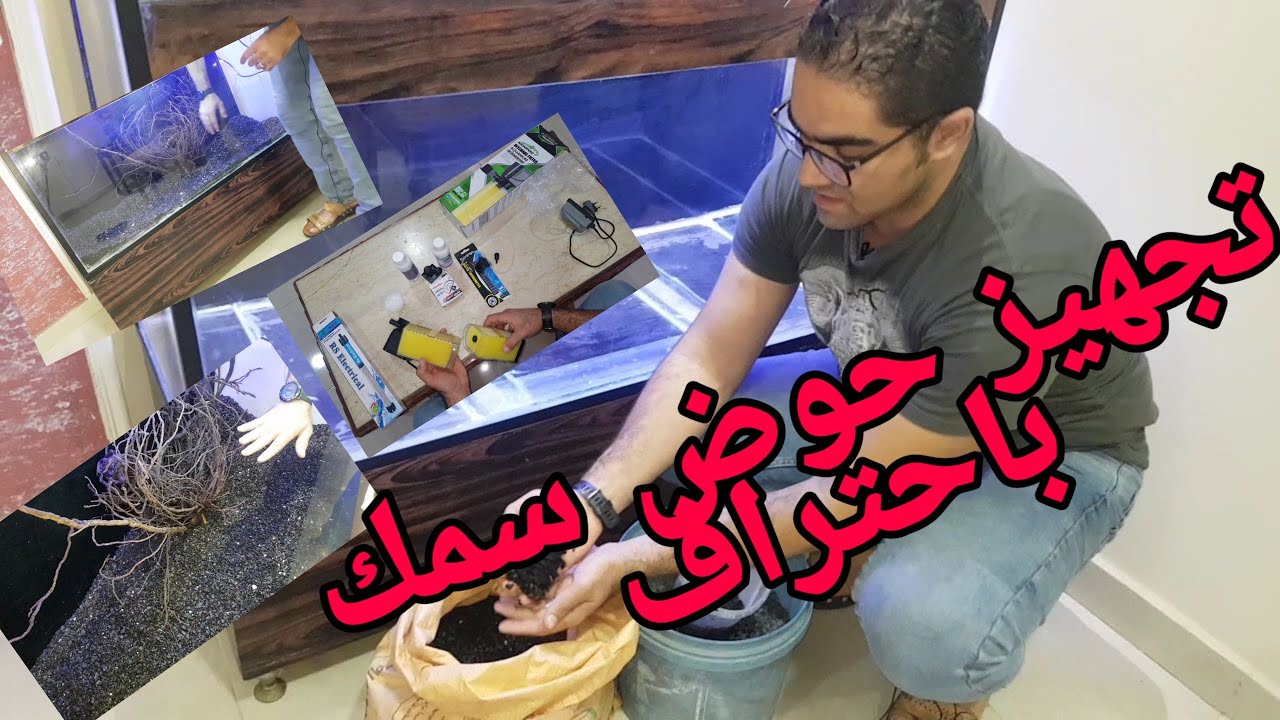 The correct way to professionally prepare aquarium fish tanks #ornamental _ fish world