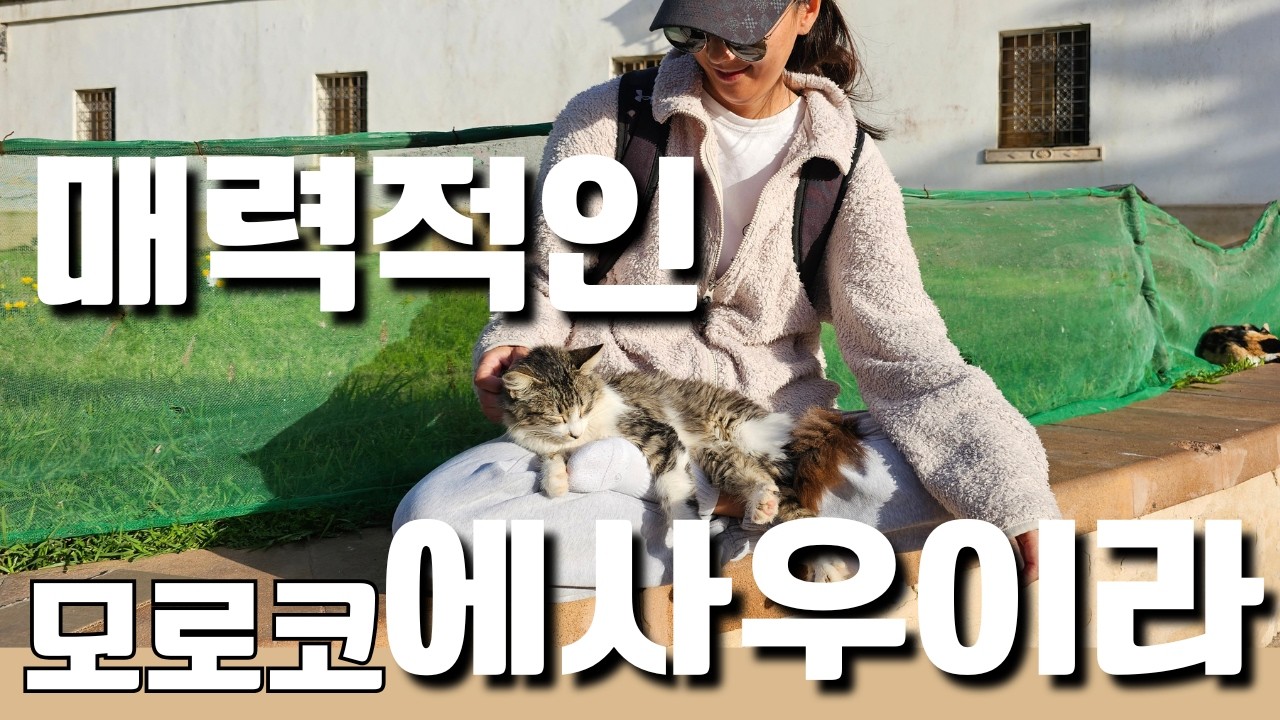 매력적인 모로코 에사우이라 - 아름다운 메디나 그리고 고양이