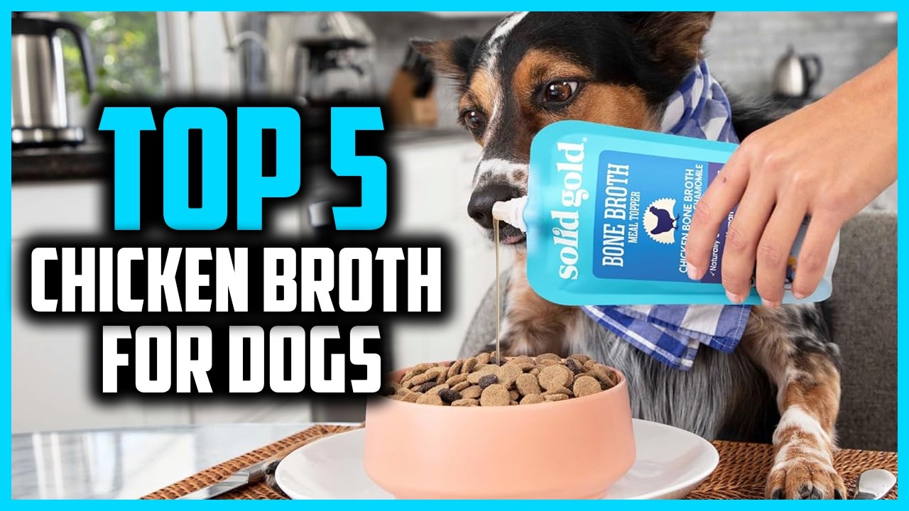 ✅ The Best Chicken Broth for Dogs 2026