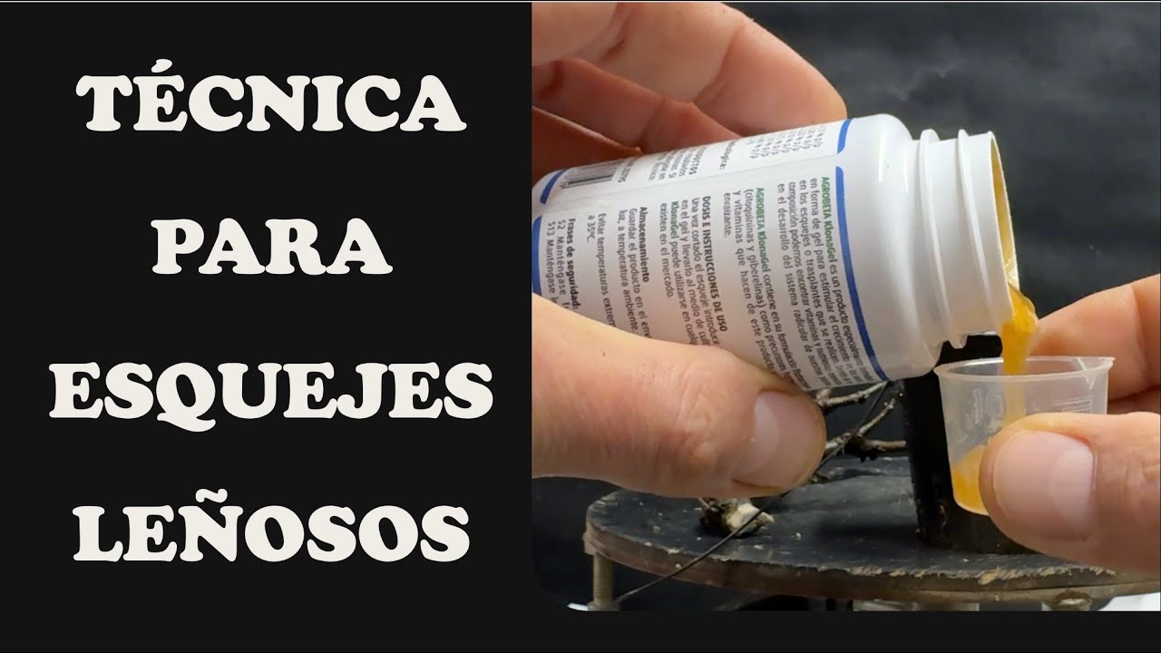 TÉCNICA PARA ESQUEJES LEÑOSOS