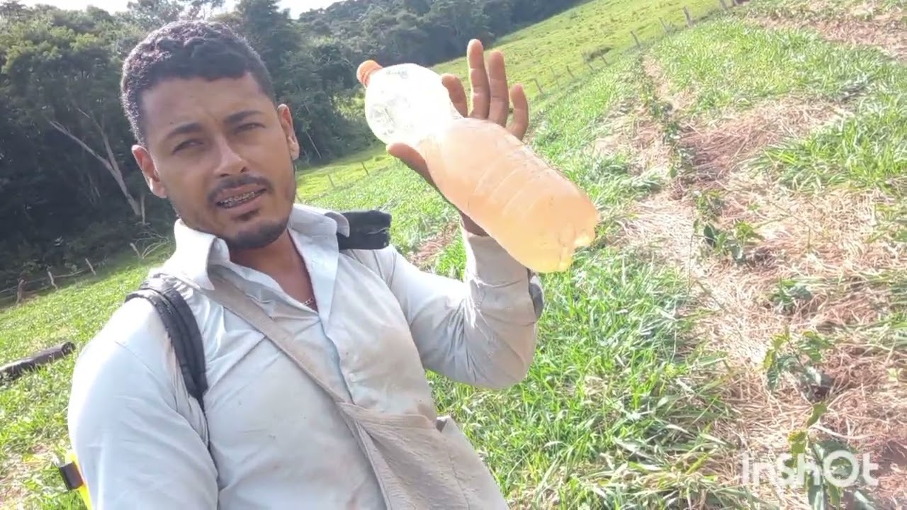 Manejo do mato no café  na hora certa vai ter poupar dinheiro e mão de obra#agro#cafe novo#safra26