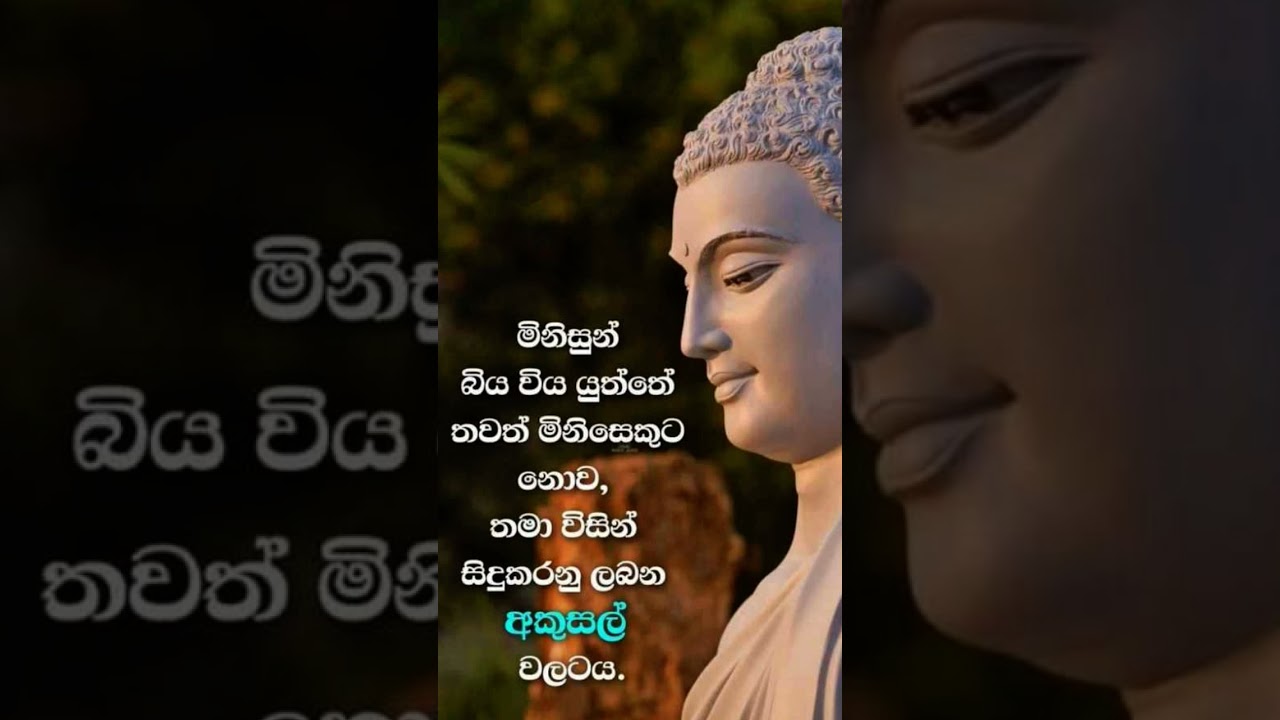 #goodlife #motivation #quotes #dhamma #dhammatalk #lifequotes #life #lifelessons
