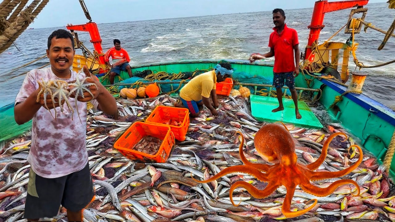 AMAZING FISHING FIRST DAY 🤩Lot Of Squids & Octopus Caught In Single Day & Lunch Yummy Fish Curry 🤤