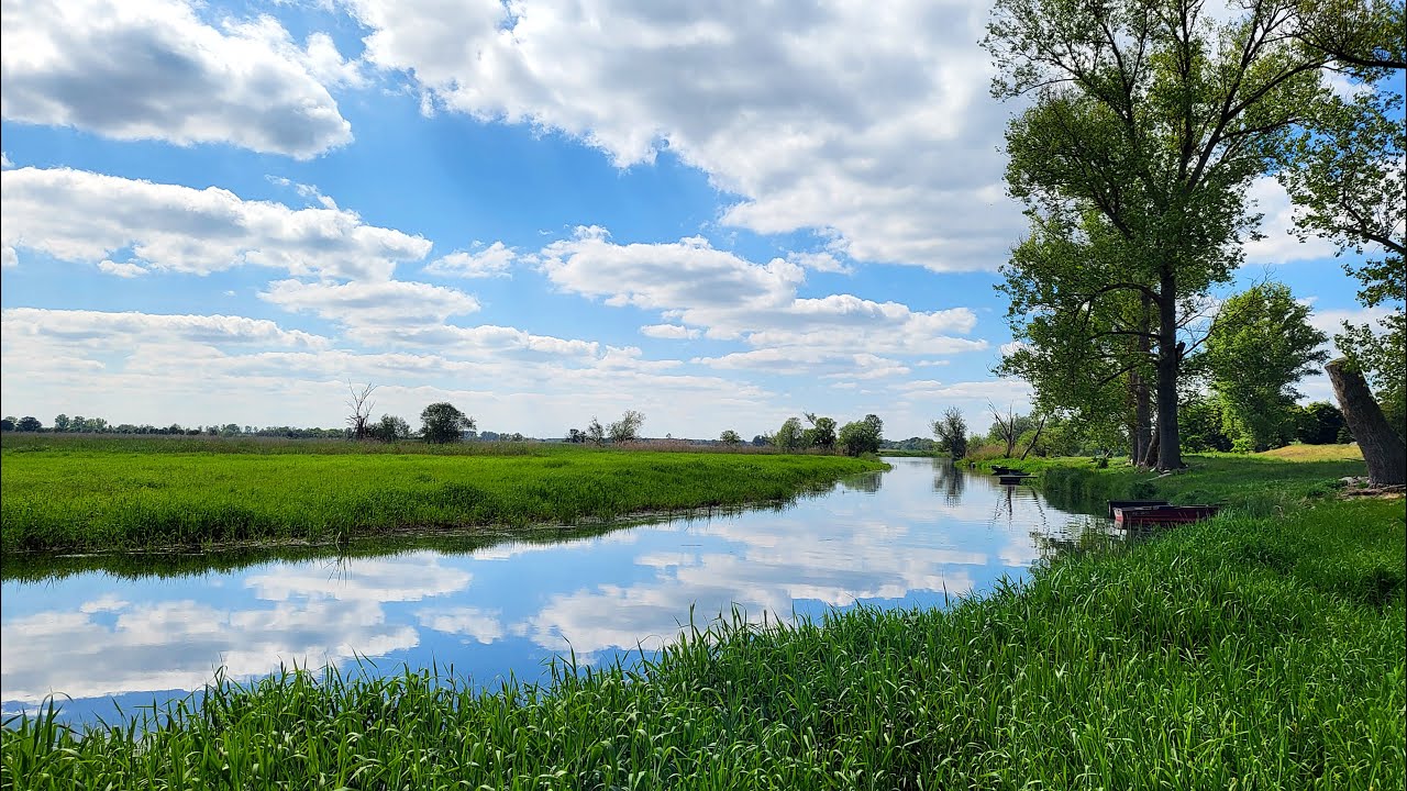 LANDLUFT 🐔🇩🇪 - Landleben Brandenburg vlog - Bootstour Havel - villagelife - Chicken / H&uuml;hner - 2024