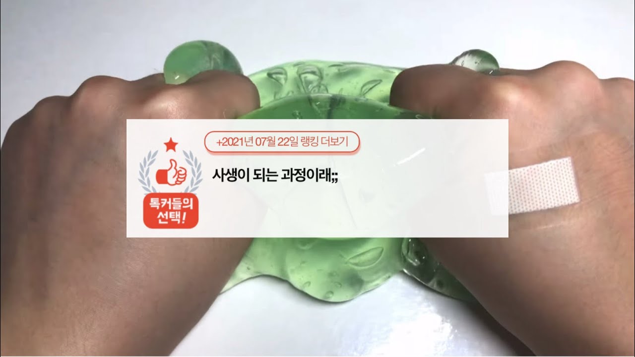 한 팬이 사생이 되는 과정;; 네이트판 시리즈액괴 소규모 소시액 대규모 대시액 공론화 에스크 삶체험 무편집영상공유 양식 고딕파연카 깊나눔 계나 너굴시리즈 윈터마리 이파님무영공 괴담
