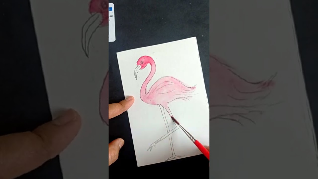 How to Draw a Flamingo|how to draw a flamingo|Flamingo watercolor painting|Peaceful Passions