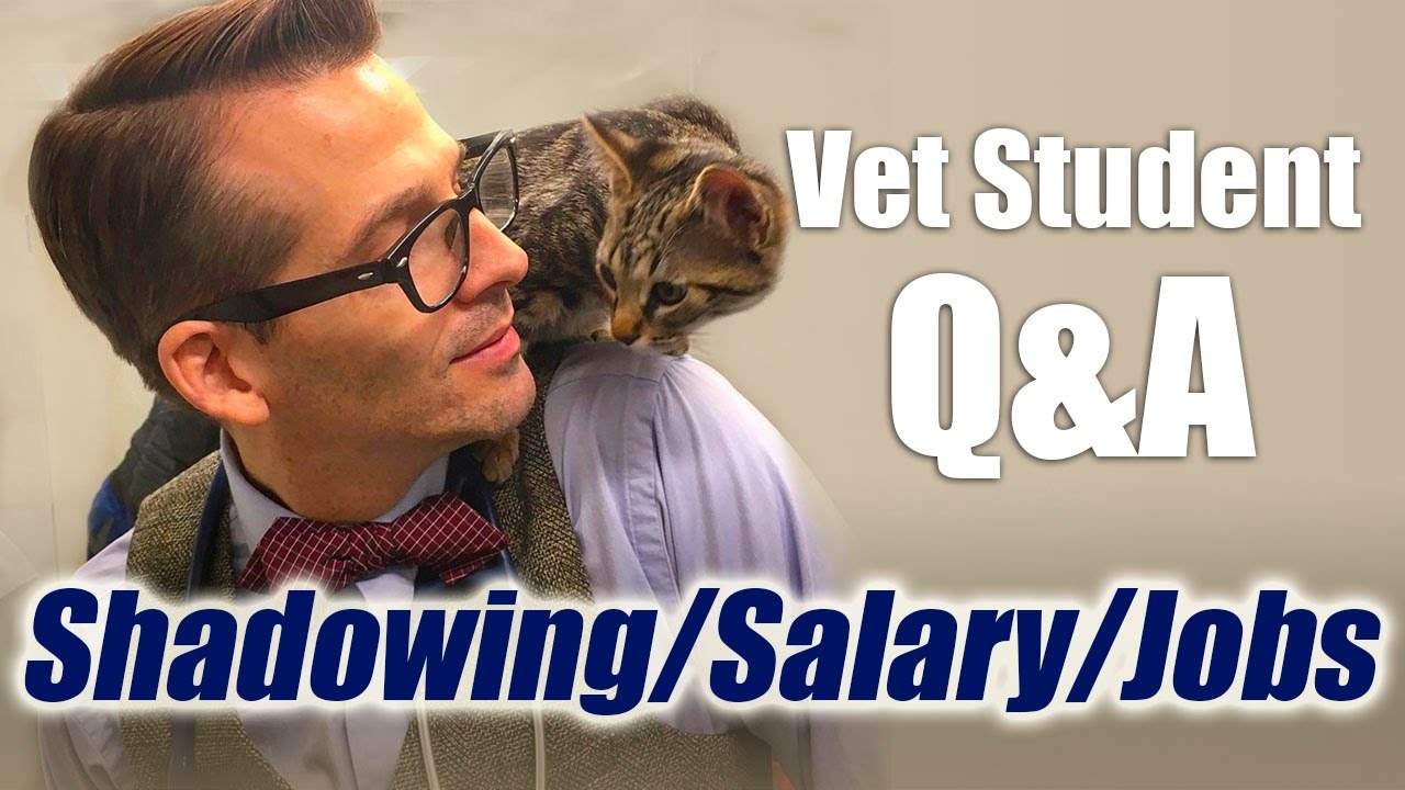 Vet Student Q&A -  Different Jobs, Career Salary, and Shadowing a Veterinarian