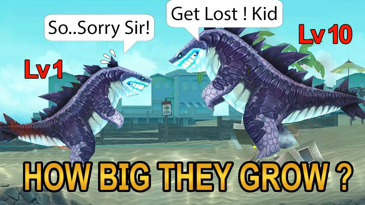 ALL SHARKS SIZE COMPARISON LEVEL 1 vs LEVEL 10 [Chapter 1] | Hungry Shark Evolution - Sharkjira