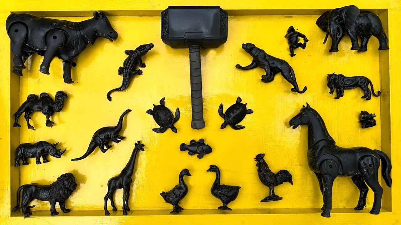 AYO! Membersihkan hewan sapi, bebek, angsa, ayam, gajah, simpanse, singa, unta, buaya kangguru.